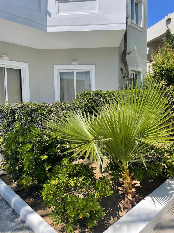 Ninemia Beach Hotel & Suites Agia Marina Eksteriør billede